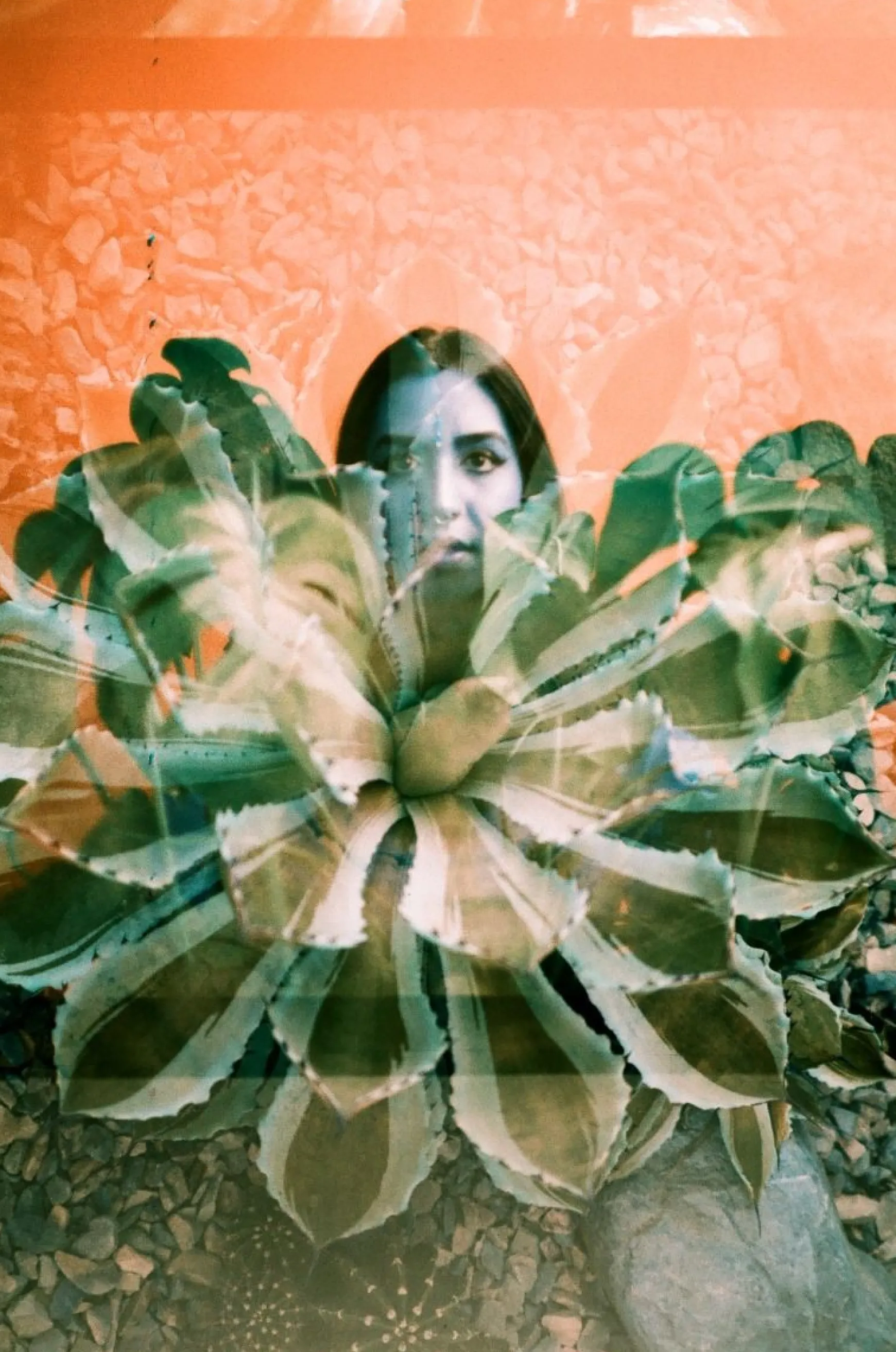 Lomography Lomochrome Films | 35 Mm Film>Analogue Trio Mixed Film Pack 35 mm
