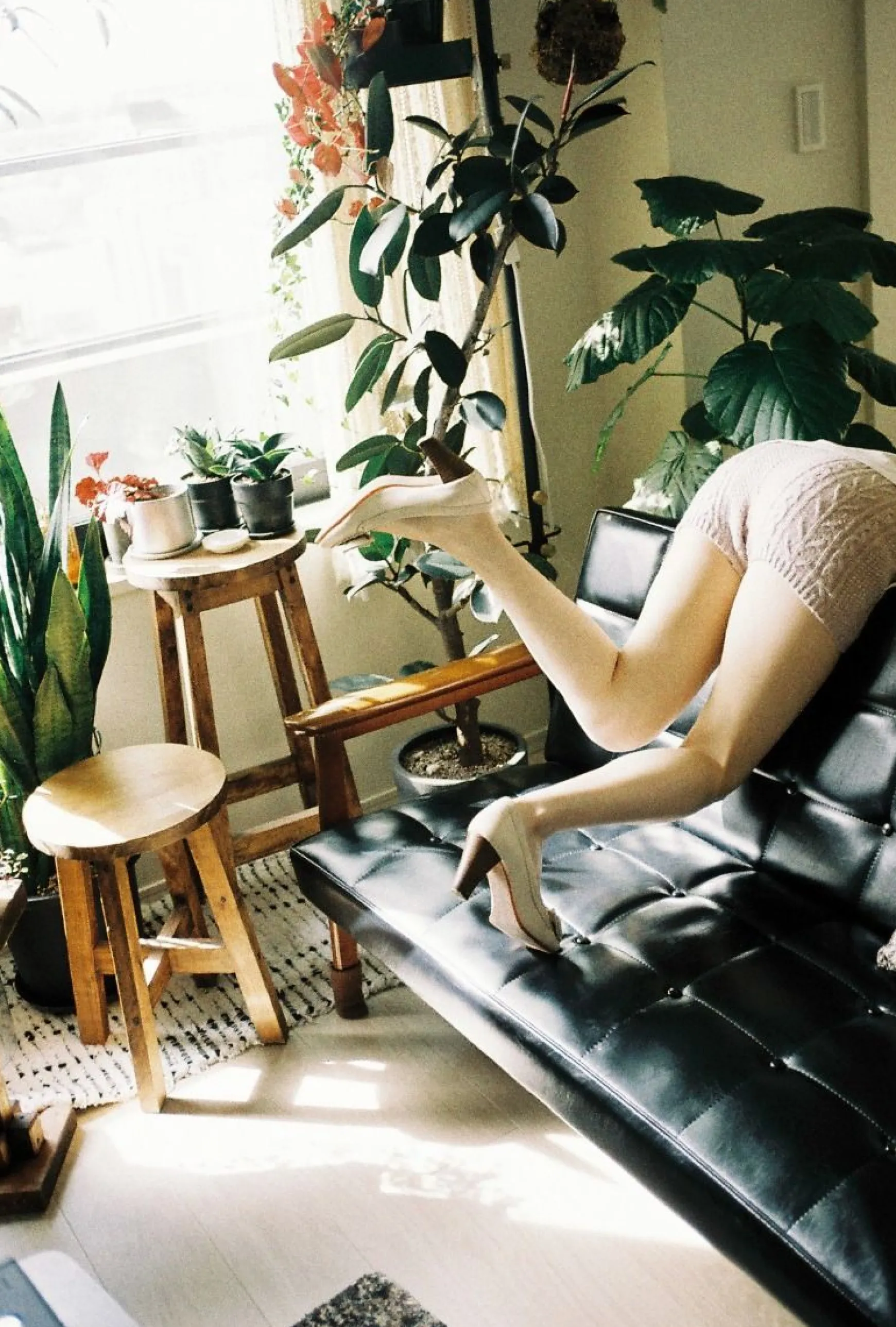 Lomography Lomochrome Films | 35 Mm Film>LomoChrome Color ’92 Sun-kissed 35 mm ISO 400