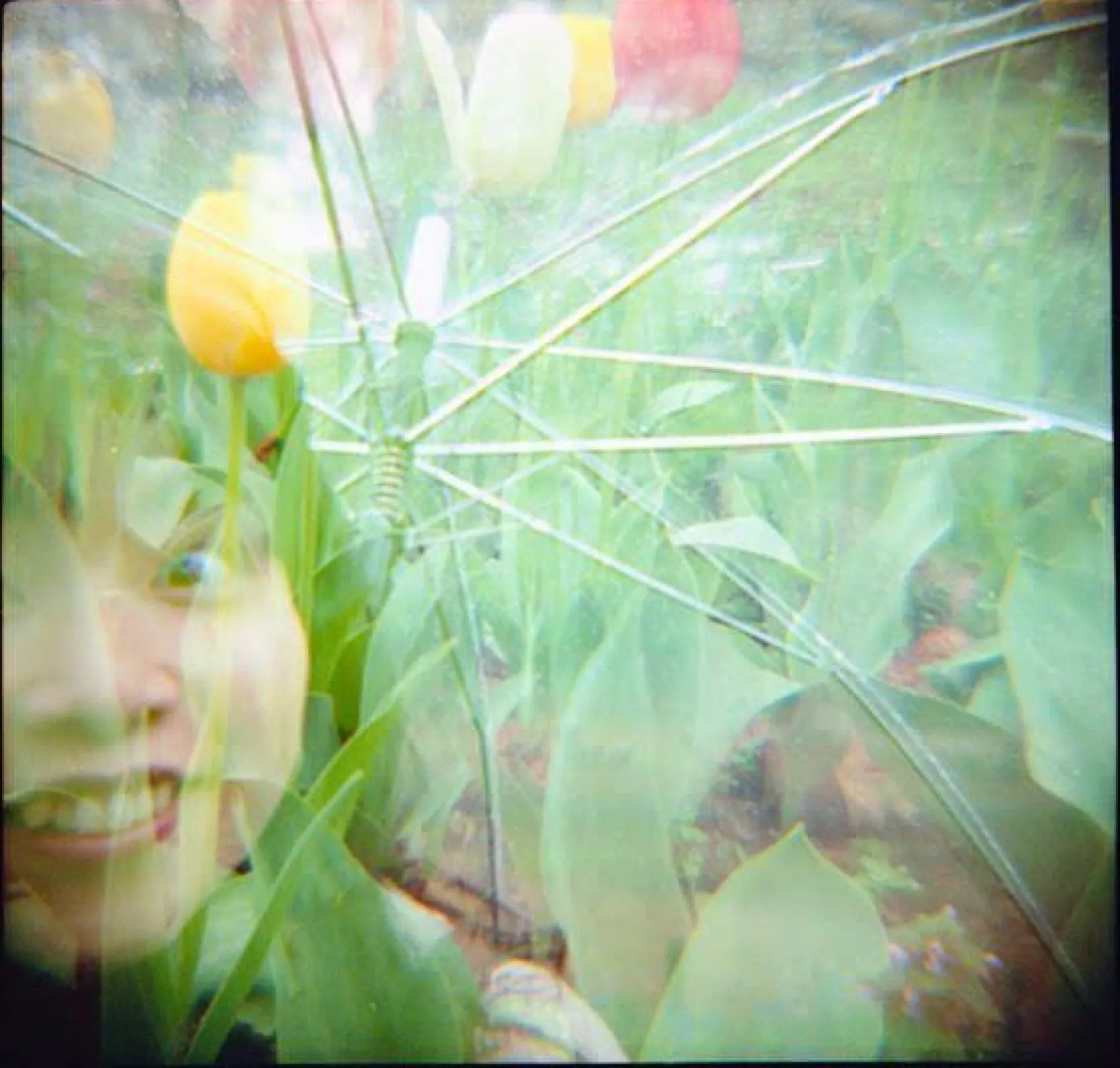 Lomography 120 Film>Color Negative 120 ISO 800 Single Pack