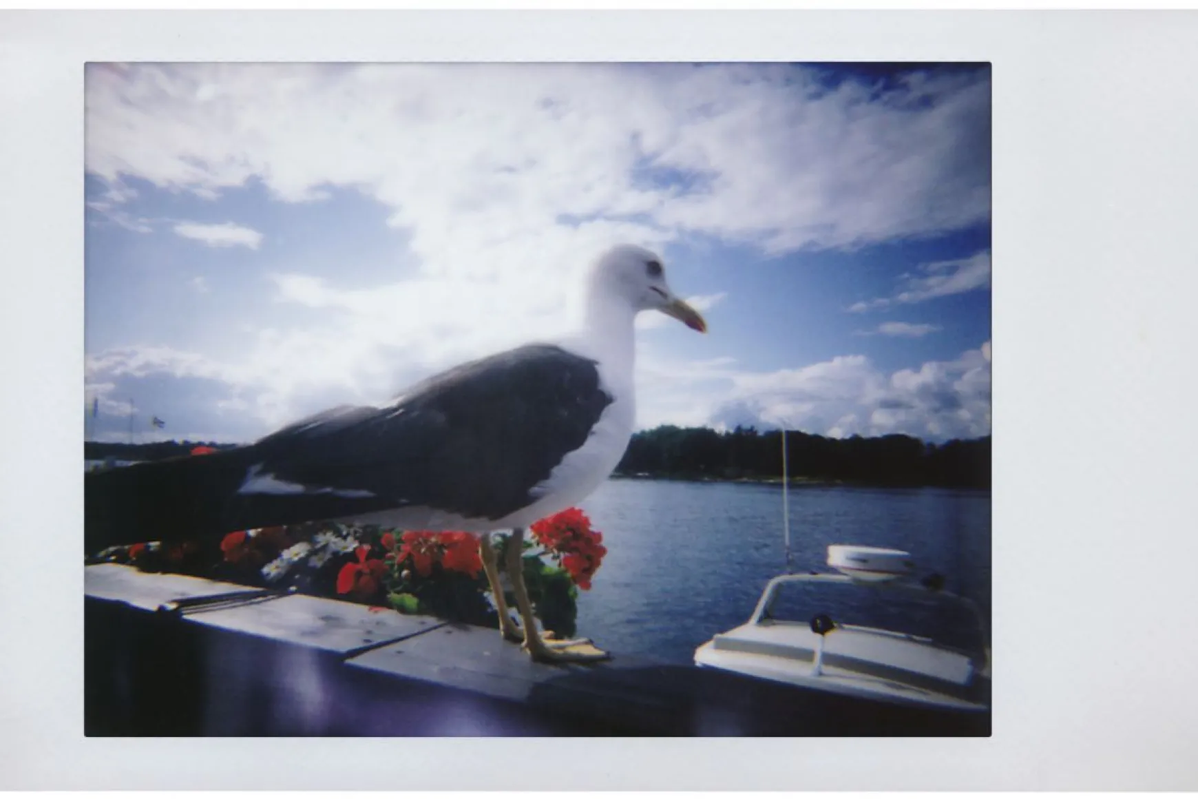 Lomography Cameras>Lomo’Instant All you need Bundle